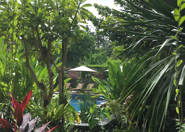 Saka Boutique Toyapakeh